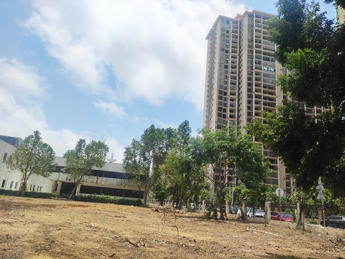 北海市中心北海大道旁這個(gè)老工廠開(kāi)始拆了,準(zhǔn)備搞房地產(chǎn)項(xiàng)目