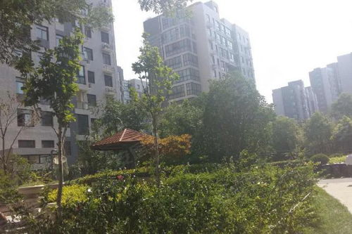 東方鼎盛時代三期優(yōu)點 不足,東方鼎盛時代三期怎么樣,東方鼎盛時代三期周邊房產(chǎn)中介經(jīng)紀人評價 鄭州安居客